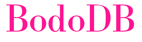 BodoDB預(yù)覽圖片